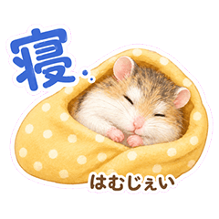 はむじぇい