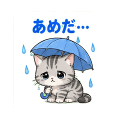 アメショの梅雨と夏だより