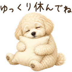 一年中使える♪マルプー