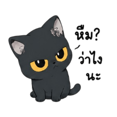 Tanaphon_20260802122415