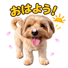自己評価満点犬レオ