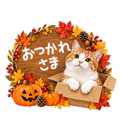 猫の秋・ハロウィン