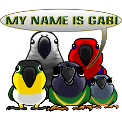 The parrot&#039;s name is Gabi & his friends