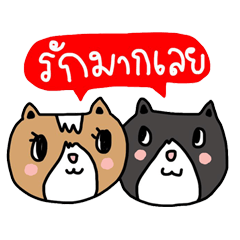 Lovely cat by ngingi