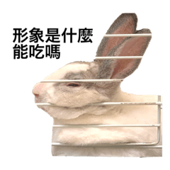 Wenxin_20210303042612