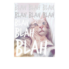 CHIP&DALE 02 DALE CLASSIC FACE