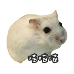 owo_20220202020338