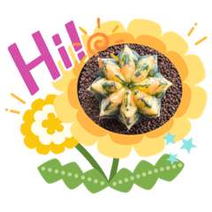 Cactus Stickers by BaBaBa Cactus
