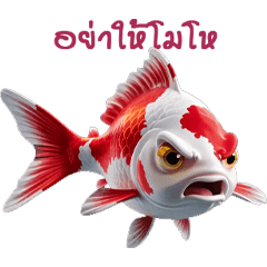 koi fish Maruten Kohaku 3D