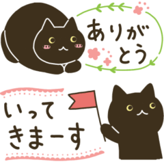 黒猫さん＊家族連絡