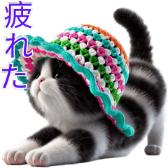 猫、子猫、小さな猫、とてもかわいい 7