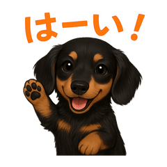 ふわもこうみのスタンプ（ブラックタン）