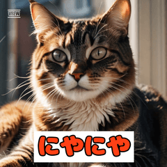 気ままなネコの気持ち