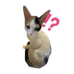 オレん家のペットども！