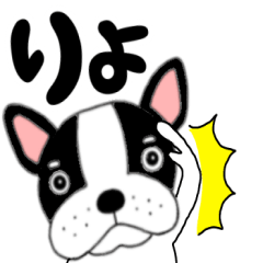 【毎日】フレンチブルドックのブルちゃん48