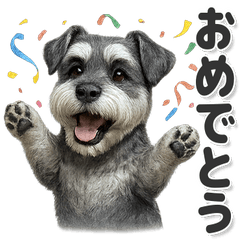 毎日使える！かわいいシュナウザー