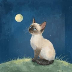 月夜のチャロと星のことば