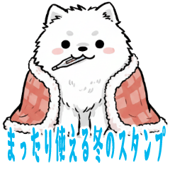 もふもふサモエドの冬だより