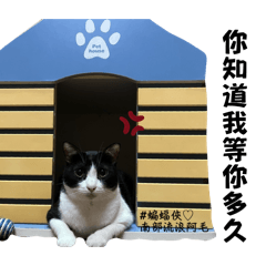 Joe Q_20251129000907