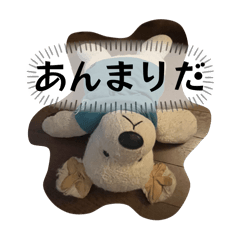 いいいいいいいぬぬぬぅ