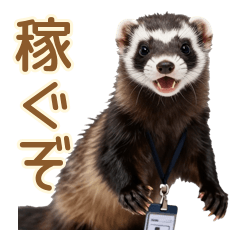 毎日使える♪働くフェレットの仕事敬語