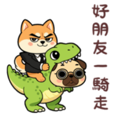 Boss Shiba Daily Life 2