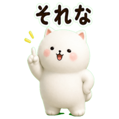 白いもちもち猫