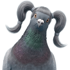 鳩ちゃん❤️！
