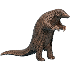 BIG! センザンコウ 実写