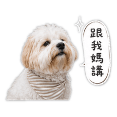 Shiuan_20260514131551