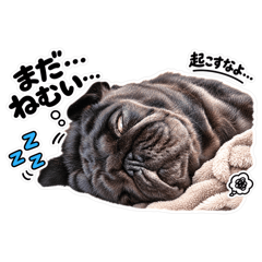 パーヤンスタイル