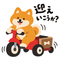 ◎家族をつなぐ芝犬◎