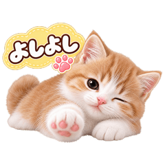 ふわふわ子猫のやさしい言葉