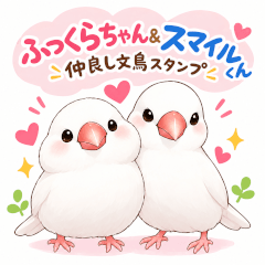 仲良し文鳥♡ふっくらちゃん＆スマイルくん