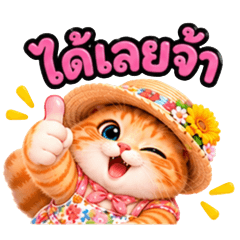 Mae Som: Cute Orange Cat for Every Day