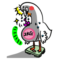 Queen Goose and her crown's diary2