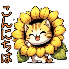 花猫【其の零】向日葵にゃん❗️Ver.Up,,,,