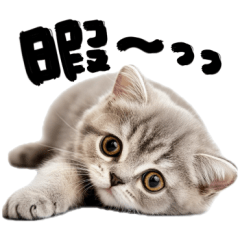 筆文字♡にゃんこ