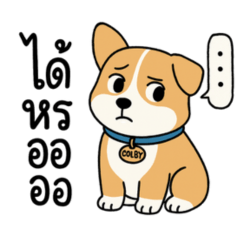 Colby de Corgi