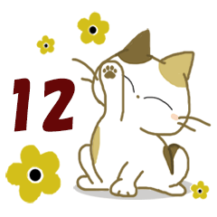 みけ猫みけさん12