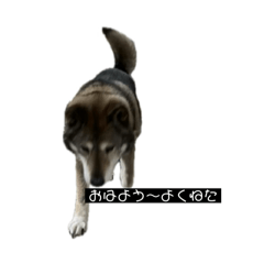 ごうちゃんのあいさつ