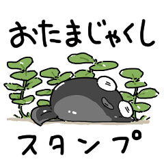 ふたごのともだち　おたまじゃくし