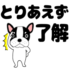 デカ文字フレンチブルドックのブルちゃん47