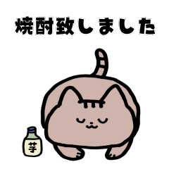 猫と亀の毎日スタンプ