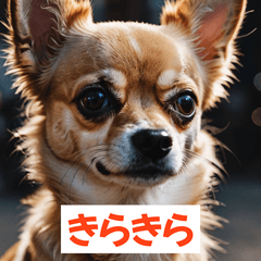 わんこの気まぐれ日常