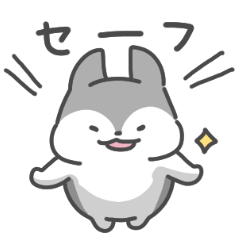 シベリアンハスキーの日常色々