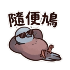 Dove's life! Red Dove's daily life