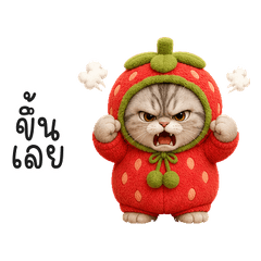 Strawberry Suit Cat