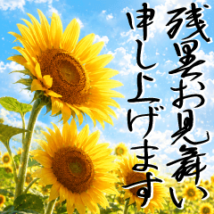 大人の残暑見舞い 日本の美しい夏の風景