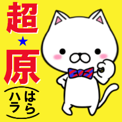 超★原(はら・ハラ)なネコ